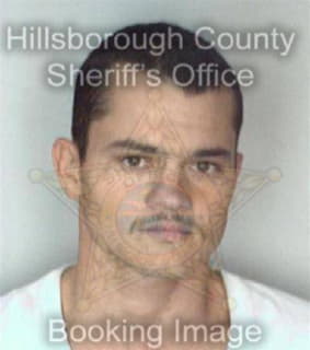 Hernandez Anastacio - Hillsborough County, Florida 