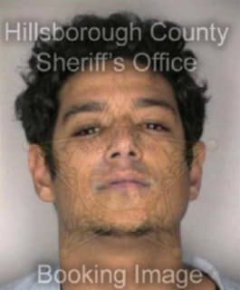 Richardson Leroy - Hillsborough County, Florida 