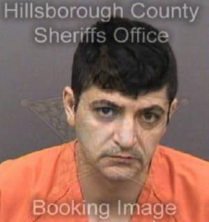 Alsaeedi Sameh - Hillsborough County, Florida 