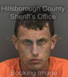 Demidov Ivan - Hillsborough County, Florida 