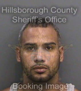 Ortiz Jose - Hillsborough County, Florida 