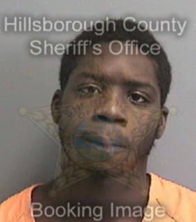 Diggs Obie - Hillsborough County, Florida 