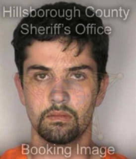 Davis Roger - Hillsborough County, Florida 