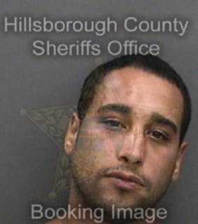 Lopez Carmelo - Hillsborough County, Florida 