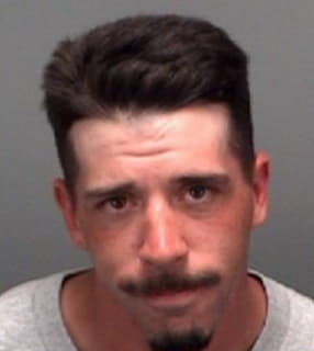 Hird Daniel - Pinellas County, Florida 