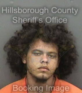 Johnson David - Hillsborough County, Florida 
