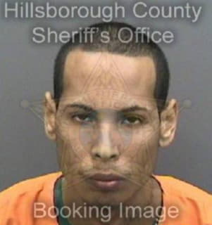 Rodriguezmontanez Luis - Hillsborough County, Florida 