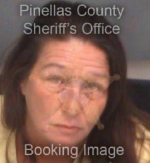 Ray Sherri - Pinellas County, Florida 