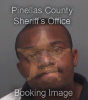 Lewis Terry - Pinellas County, Florida 
