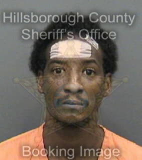 Mccallum Anthony - Hillsborough County, Florida 