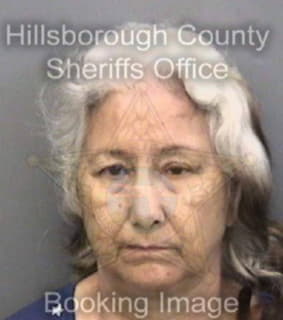 Kalsi Bhupinder - Hillsborough County, Florida 