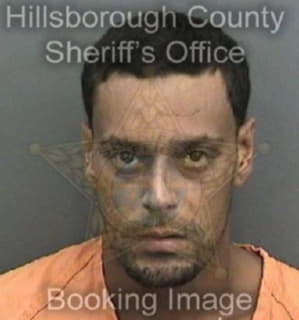 Ruiz Hector - Hillsborough County, Florida 