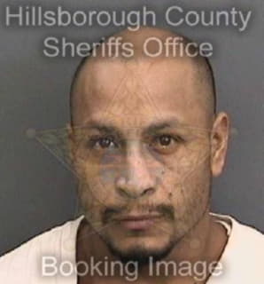 Diaz Felipe - Hillsborough County, Florida 