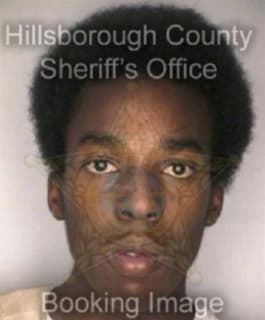 Moore Gregory - Hillsborough County, Florida 