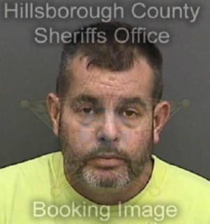 Arneson Michael - Hillsborough County, Florida 