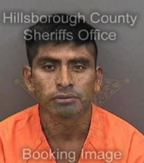 Diaz Victor - Hillsborough County, Florida 