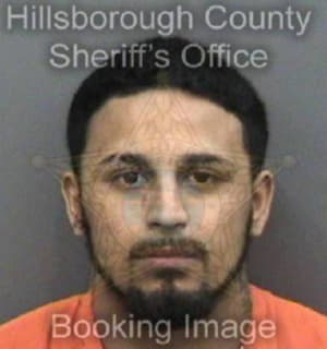 Lopez Cesar - Hillsborough County, Florida 