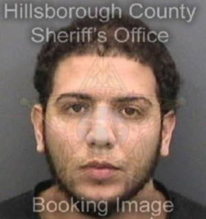 Ruiz Leonardo - Hillsborough County, Florida 