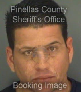 Medinaizquierdo Dunier - Pinellas County, Florida 