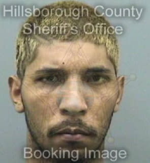 Rodriguezrosa Jose - Hillsborough County, Florida 