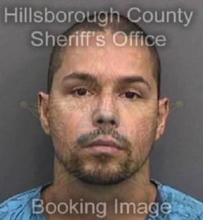 Boykin Michael - Hillsborough County, Florida 