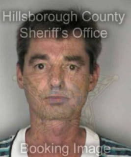 Michalowicz Michael - Hillsborough County, Florida 