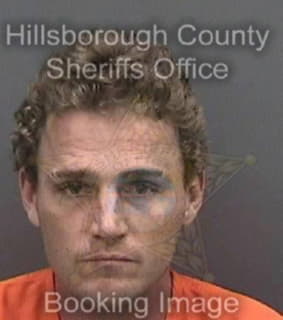 Lewis Robert - Hillsborough County, Florida 