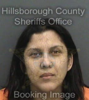 Ortiz Milena - Hillsborough County, Florida 