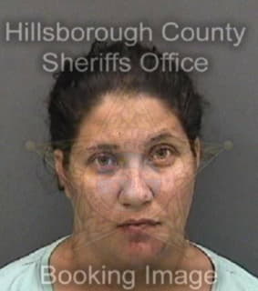 Patterson Ashley - Hillsborough County, Florida 