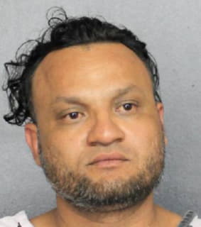 Pineda Carlos - Broward County, Florida 