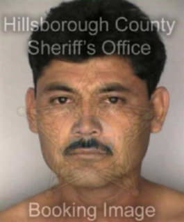 Bravo Damaso - Hillsborough County, Florida 