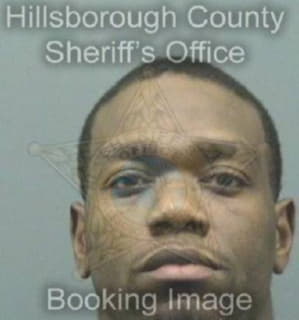 Wilson Johnathan - Hillsborough County, Florida 