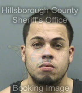 Walker Michael - Hillsborough County, Florida 