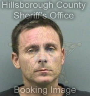 Dishmann Michael - Hillsborough County, Florida 