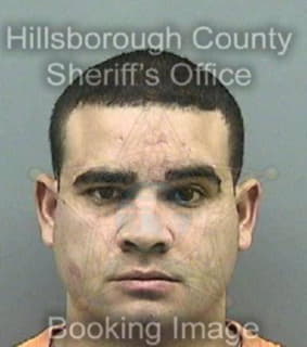 Miranda Nivaldo - Hillsborough County, Florida 