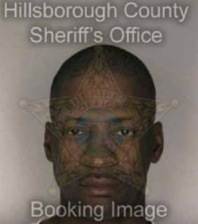 Lewis Tyrone - Hillsborough County, Florida 