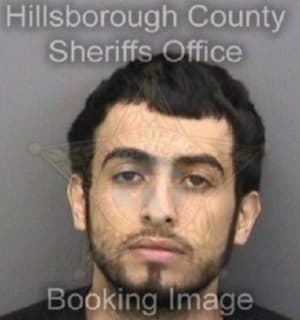 Salim Abdulah - Hillsborough County, Florida 