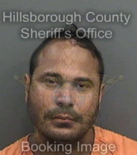 Deleon Josue - Hillsborough County, Florida 