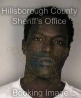 Rodgers Labron - Hillsborough County, Florida 