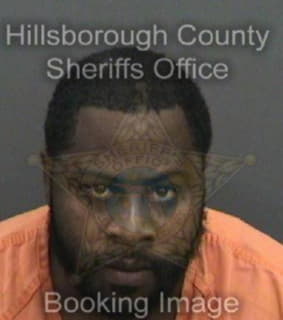 Bowen Michael - Hillsborough County, Florida 