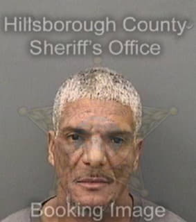 Rodriguez-Quinones Carlos - Hillsborough County, Florida 