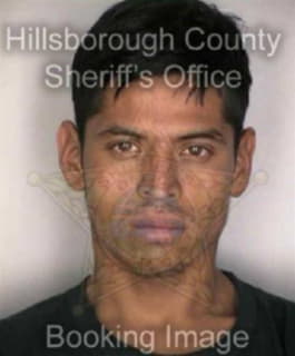 Martinez Eric - Hillsborough County, Florida 