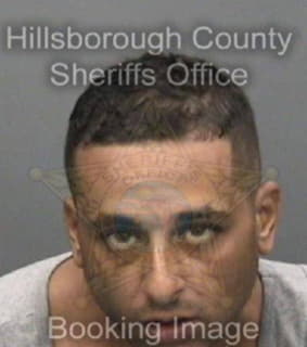 Ortiz Ricardo - Hillsborough County, Florida 