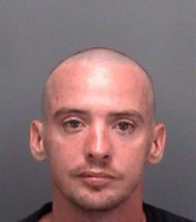 Sealey Anthony - Pinellas County, Florida 