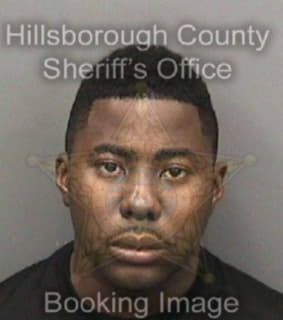 Belin Charles - Hillsborough County, Florida 