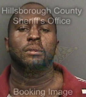 Anderson Eric - Hillsborough County, Florida 