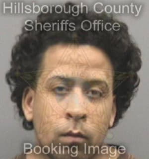 Rivera Florencio - Hillsborough County, Florida 