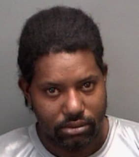 Gray James - Pinellas County, Florida 