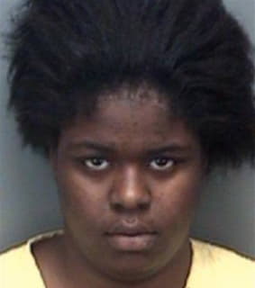 Alston Jennifer - Pinellas County, Florida 