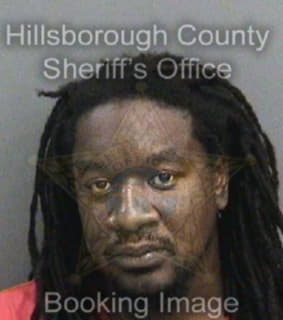 Mcdonald Lionel - Hillsborough County, Florida 